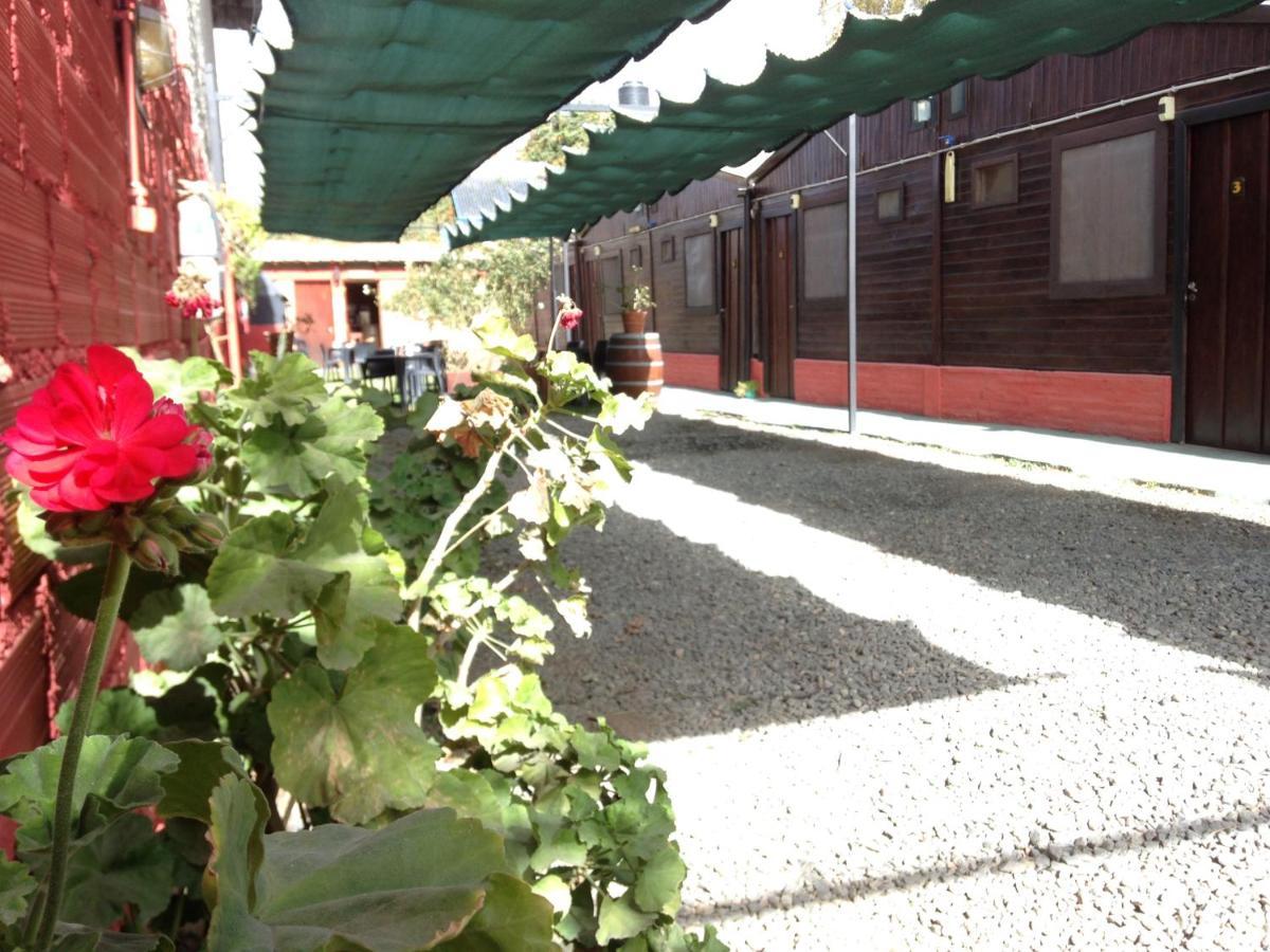 Hostal Del Suri 卡法亚特 外观 照片